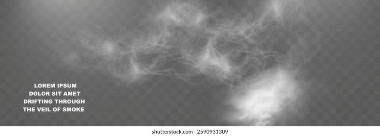 Realistic smoke effect, transparent fog overlay, wispy vapor texture, soft mist background, swirling haze.