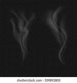 realistic smoke on black background vector illustration