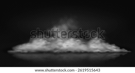 Realistic smoke on floor cloud on transparent background perfect for overlay effects and atmospheric compositions. Soft white texture. Ideal for creative projects and visual enhancements.
