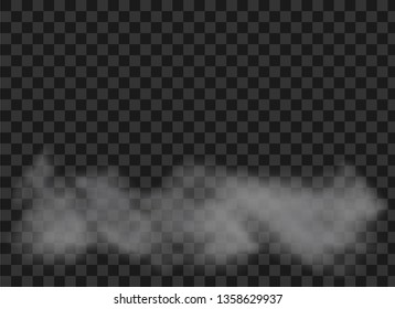 Realistic smoke on transparent background. Cloud vector illustration. Transparent special effect with smoke.