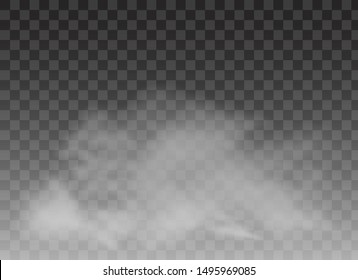 Realistic smoke on transparent background. Vector illustration with special smoke effect.Vector isolated realistic cigarette smoke waves.