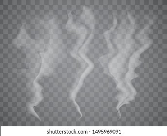Realistic smoke on transparent background. Vector illustration with special smoke effect.Vector isolated realistic cigarette smoke waves.