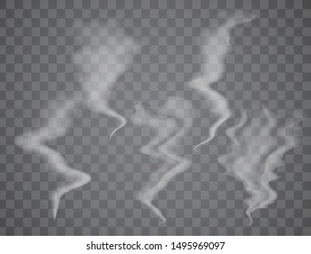 Realistic smoke on transparent background. Vector illustration with special smoke effect.Vector isolated realistic cigarette smoke waves.