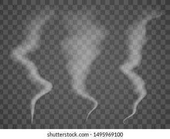 Realistic smoke on transparent background. Vector illustration with special smoke effect.Vector isolated realistic cigarette smoke waves.
