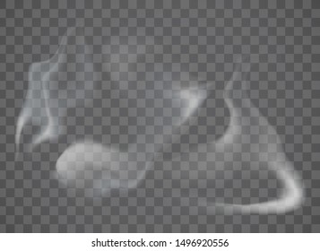 Realistic smoke on transparent background. Vector illustration with special smoke effect.Vector isolated realistic cigarette smoke waves. Vector fog.