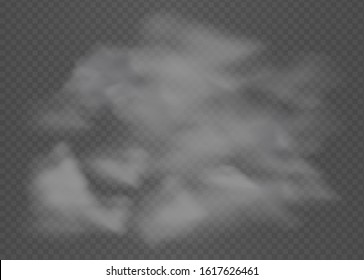 	
Realistic smoke on transparent background. Vector illustration with special smoke effect. Fog or smoke isolated transparent special effect.