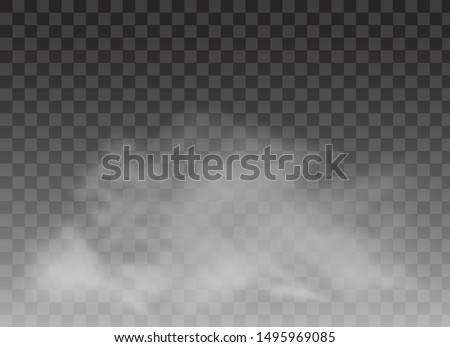 Realistic smoke on transparent background. Vector illustration with special smoke effect.Vector isolated realistic cigarette smoke waves.