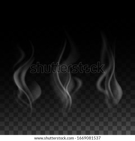 realistic smoke set isolated on transparent darck background. vector illustration