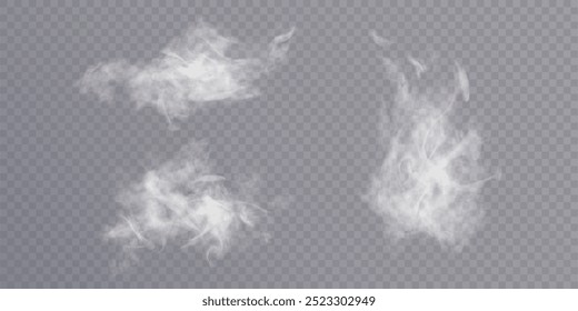 Humo realista, vapor, nube. Efecto de explosión, generador de vapor. Fondo transparente. Vector