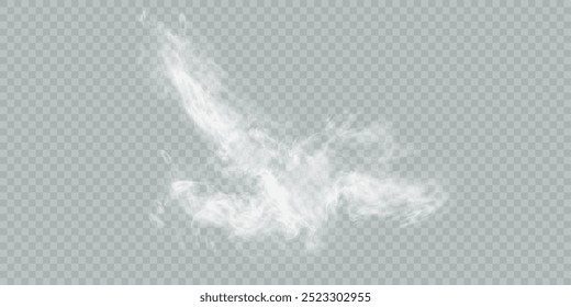 Realistic smoke, steam, cloud. Explosion effect, steam generator. Transparent background. Vector
