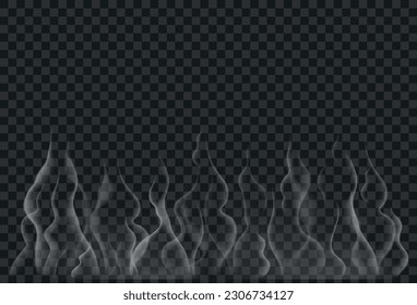 Realistic smoke, steam effect from bbq, hot tea or coffee. Vector illustration of white smoke isolated on transparent backdrop