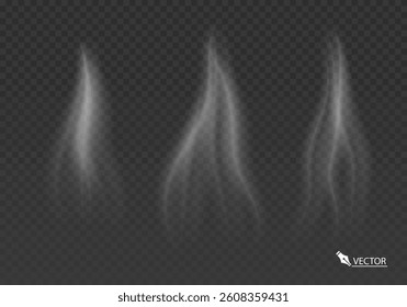 Realistic Smoke Steam and Fog Effects Transparent Vector