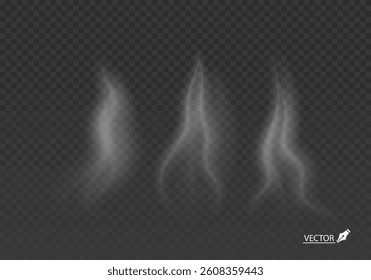 Realistic Smoke Steam and Fog Effects Transparent Vector