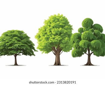 Realistic Smooth Tree Set Isolated On White Background Vector Illustration