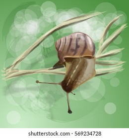 Realistic snail on a dry branch. Vector illustration