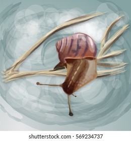 Realistic snail on a dry branch. Vector illustration