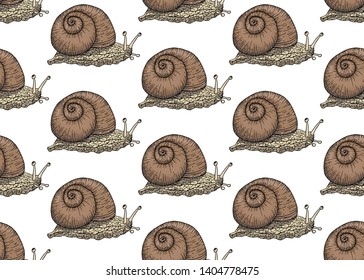 realistic snail seamless pattern vector isolated for nature design textile or your design
