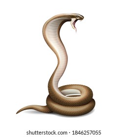 Realistic snake composition with isolated image of hissing cobra with shadow on blank background vector illustration svg