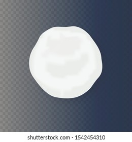 Realistic snow globe vector illustration. Set of snowball icons isolated. Vector illustration. Snow circle.