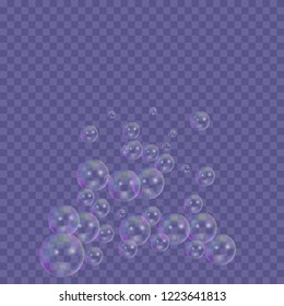 Realistic soap bubbles isolated on transparent background, design element, vector illustration 
