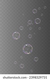 Realistische Seife, Vektorblasen, einzeln auf transparentem Hintergrund. Der Effekt fallender und fliegender Blasen. Glasblase-Effekt.