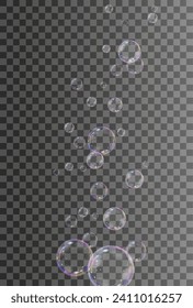 Realistic soap vector bubbles png isolated on transparent background. The effect of falling and flying bubbles. Glass bubble effect.