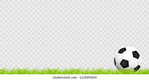 Realistic soccer ball on the grass on a transparent background