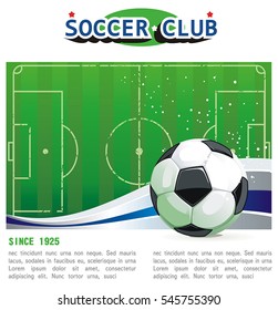 Realistic soccer ball on a textured grass playing field. Football. Vector abstract poster for sport design. Beautiful illustration with place for your text, eps8