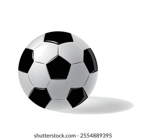 Realistic Soccer Ball with Shadow – Classic Football Icon Illustration