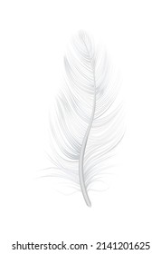 Realistic soft bird feather on blank background vector illustration
