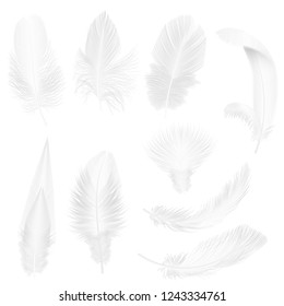 Realistic soft white feathers isolated on white vector illustration.