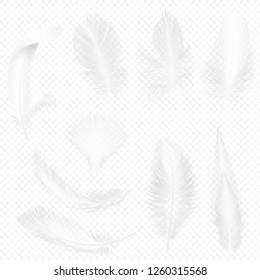 Realistic soft white feathers set on transparent alpha background vector illustration.