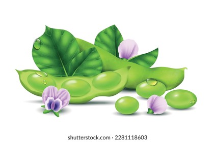 Realistic soybean concept with green soy beans and flowers vector illustration