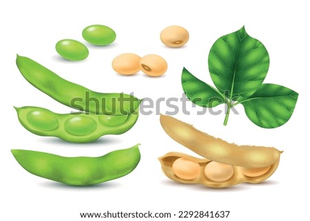 Realistic soybean realistic icons set with soy beans and leaves isolated vector illustration