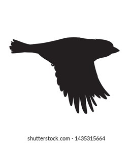 Realistic sparrow flying. Stencil. Monochrome vector illustration of black silhouette of little bird sparrow isolated on white background. Element for your design, print, decoration.