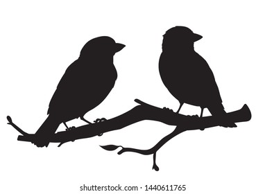 Realistic sparrows sitting on a branch. Monochrome vector illustration of black silhouettes of little birds sparrows isolated on white background. Stencil. Element for your design, print, decoration.