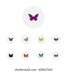 Realistic Spicebush, Checkerspot, Archippus And Other Vector Elements. Set Of Moth Realistic Symbols Also Includes Purple, Orange, Bluewing Objects.