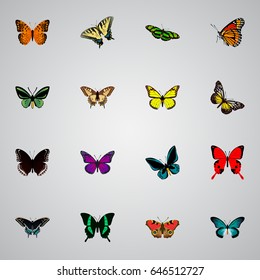 Realistic Spicebush, Danaus Plexippus, Tropical Moth And Other Vector Elements. Set Of Beauty Realistic Symbols Also Includes Sky, Purple, Moth Objects.