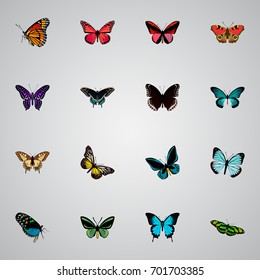 Realistic Spicebush, Milkweed, Morpho Hecuba And Other Vector Elements. Set Of Butterfly Realistic Symbols Also Includes Brown, Bluewing, Tiger Objects.