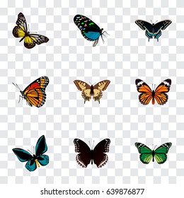 Realistic Spicebush, Summer Insect, Tiger Swallowtail And Other Vector Elements. Set Of Butterfly Realistic Symbols 