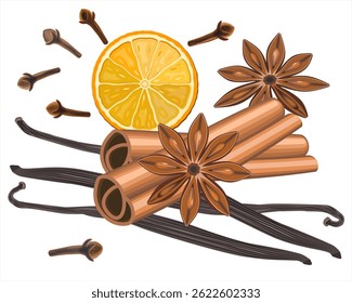 Realistic spices for Christmas mulled wine. Christmas scent cinnamon, vanilla pods, dry orange, Cloves buds and anise - spices set isolated on white background. Vector illustration EPS 10
