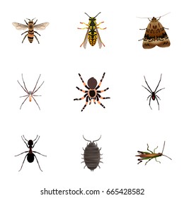 Realistic Spider, Ant, Bee And Other Vector Elements. Set Of Insect Realistic Symbols Also Includes Spinner, Housefly, Fly Objects.