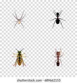 Realistic Spider, Bee, Emmet And Other Vector Elements. Set Of Insect Realistic Symbols Also Includes Emmet, Spider, Wisp Objects.