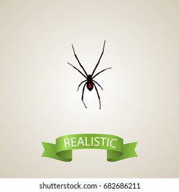 Realistic Spider Element. Vector Illustration Of Realistic Spinner Isolated On Clean Background. Can Be Used As Spider, Spinner And Arachnid Symbols.