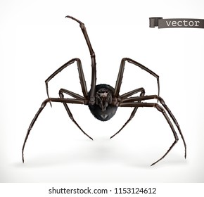 Realistic spider, Halloween 3d vector icon