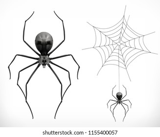 Realistic spider, halloween. 3d vector icon