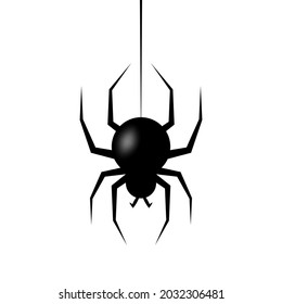 Realistic spider hanging on cobweb. Halloween character. Vector illustration