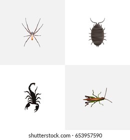 Realistic Spider, Poisonous, Dor And Other Vector Elements. Set Of Insect Realistic Symbols Also Includes Bug, Dor, Poisonous Objects.