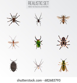 Realistic Spider, Wasp, Arachnid And Other Vector Elements. Set Of Bug Realistic Symbols Also Includes Alive, Green, Spider Objects.