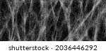 Realistic spider web background texture. Hanging cobweb for halloween design. Vector illustration